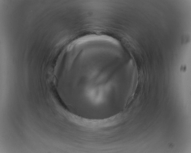 X0000092010043200709271538