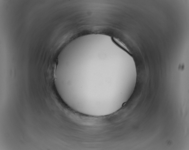 X0000092010044200709271538