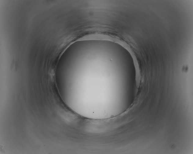 X0000092010045200709271538