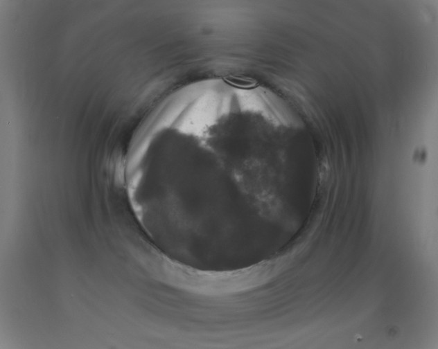 X0000092010046200709271538