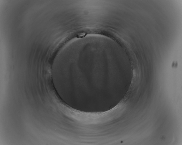 X0000092010048200709271538