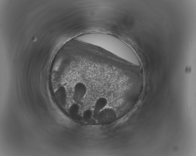 X0000092010049200709271537