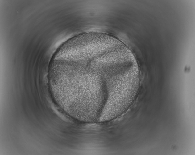 X0000092010050200709271537