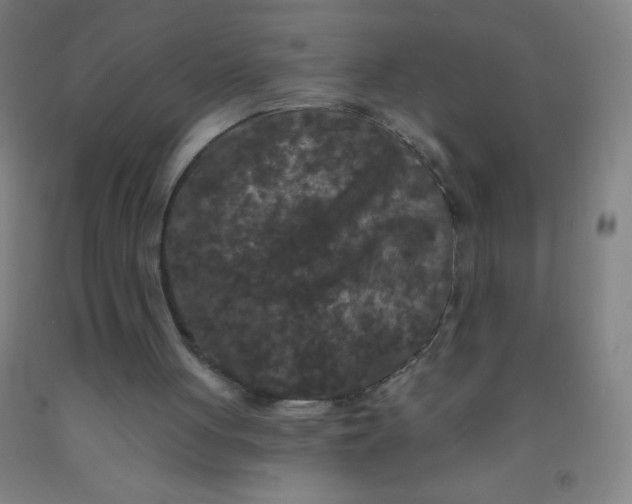 X0000092010051200709271537