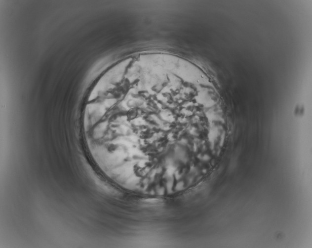 X0000092010053200709271537