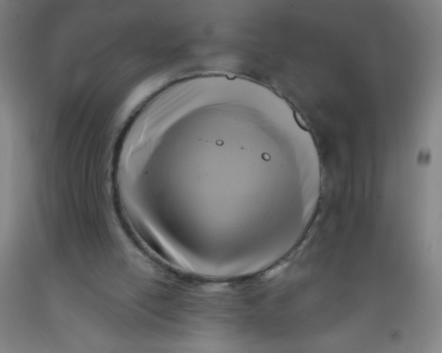 X0000092010054200709271537