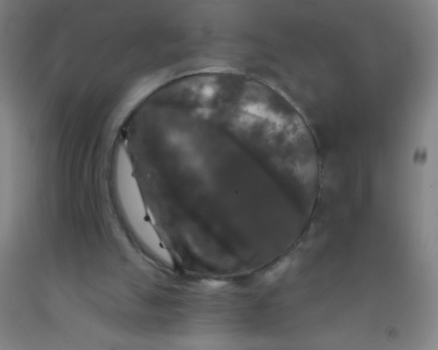 X0000092010055200709271537