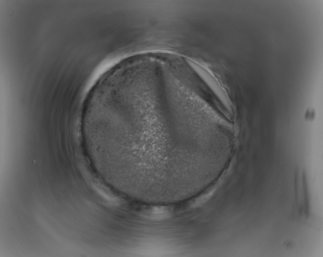 X0000092010056200709271537