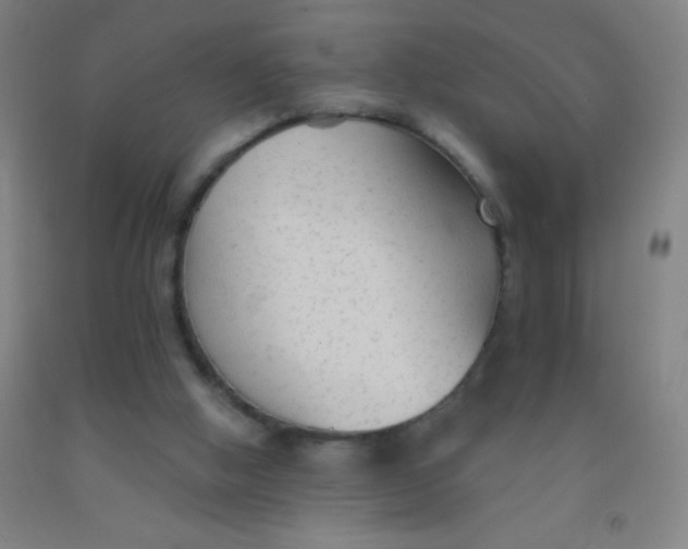 X0000092010058200709271537