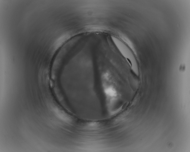 X0000092010059200709271537