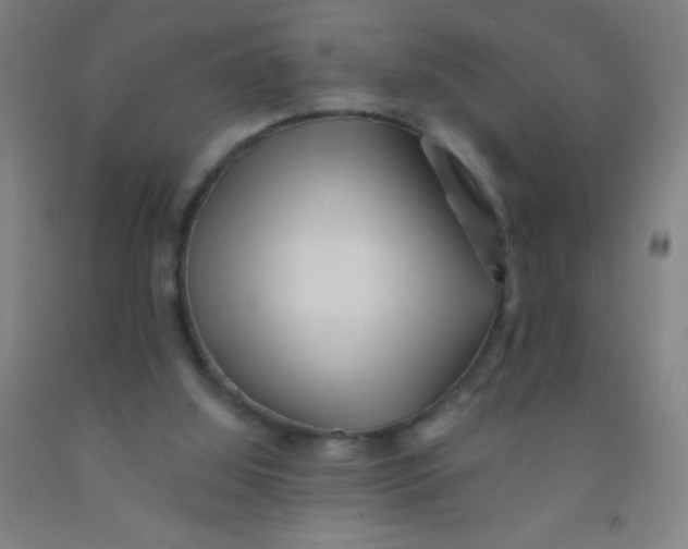 X0000092010060200709271537