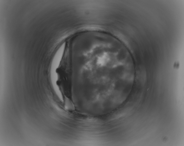 X0000092010063200709271537