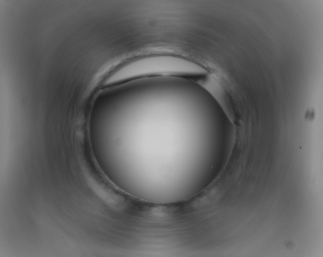 X0000092010064200709271537