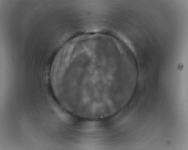 X0000092010065200709271537