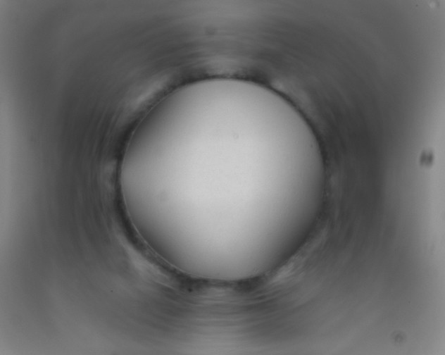 X0000092010066200709271537