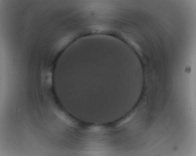 X0000092010067200709271537