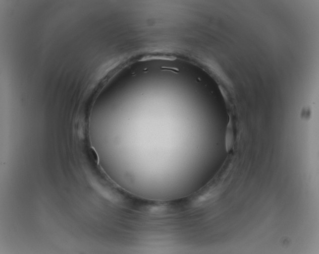 X0000092010068200709271537