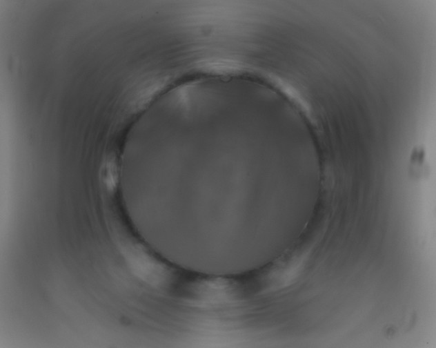 X0000092010069200709271537