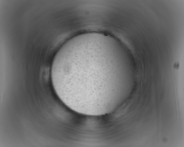 X0000092010070200709271537