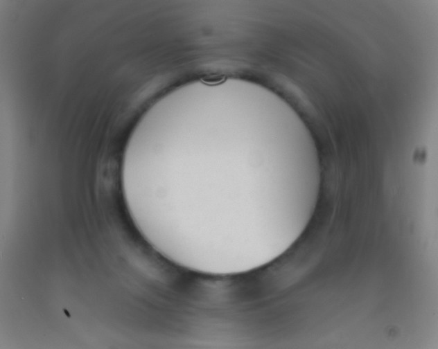 X0000092010071200709271537