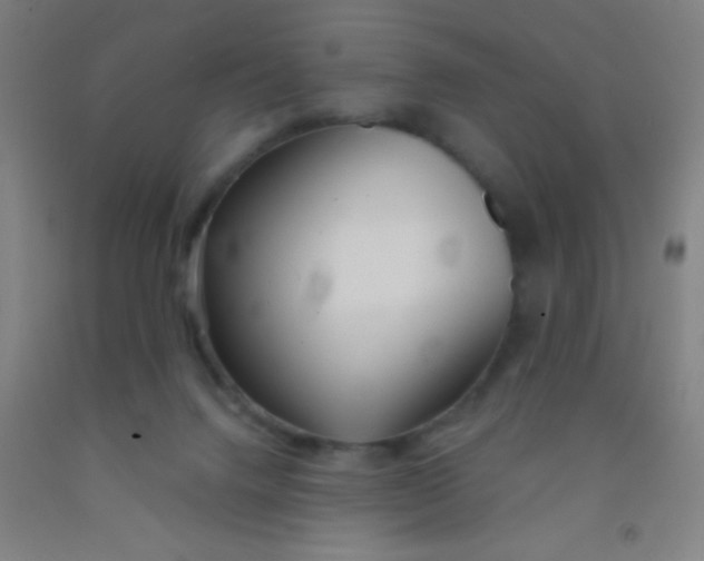 X0000092010072200709271537