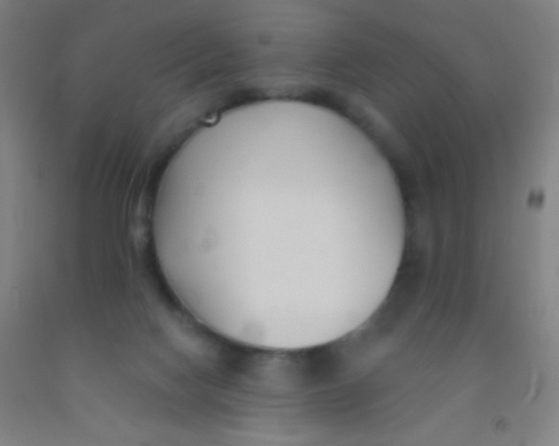 X0000092010074200709271537