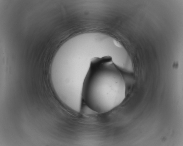 X0000092010075200709271537