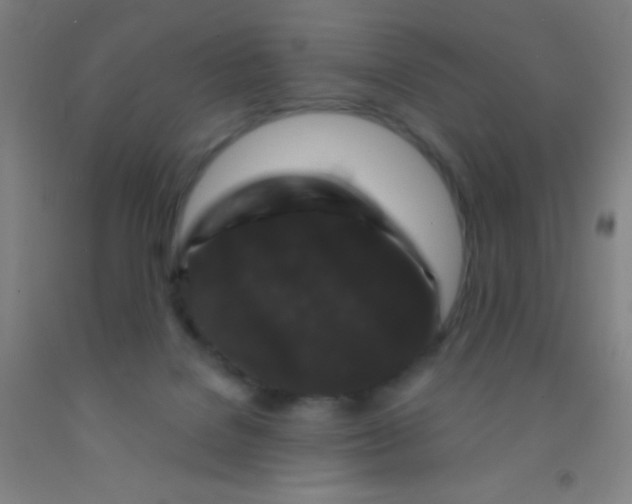 X0000092010076200709271537