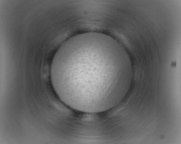 X0000092010077200709271537