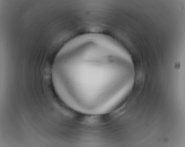 X0000092010078200709271537