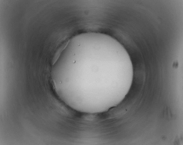 X0000092010079200709271537