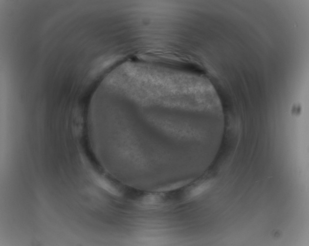 X0000092010080200709271537