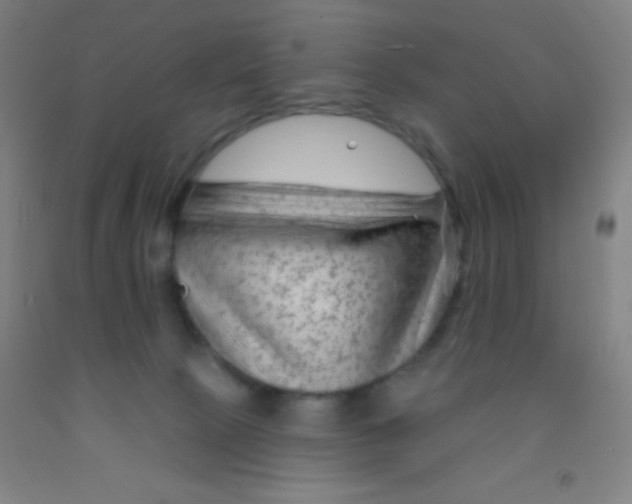 X0000092010081200709271537