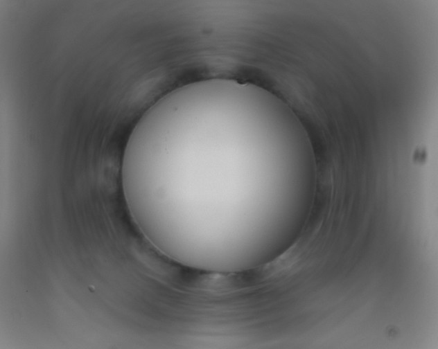 X0000092010082200709271537