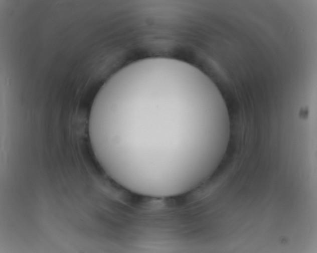 X0000092010083200709271537