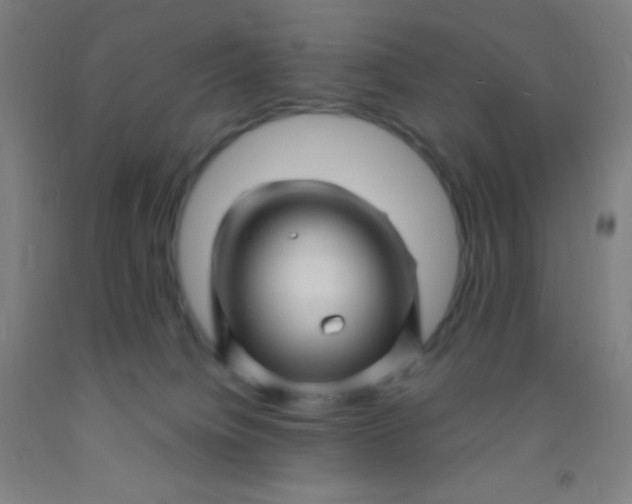 X0000092010084200709271537