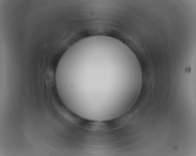 X0000092010087200709271538