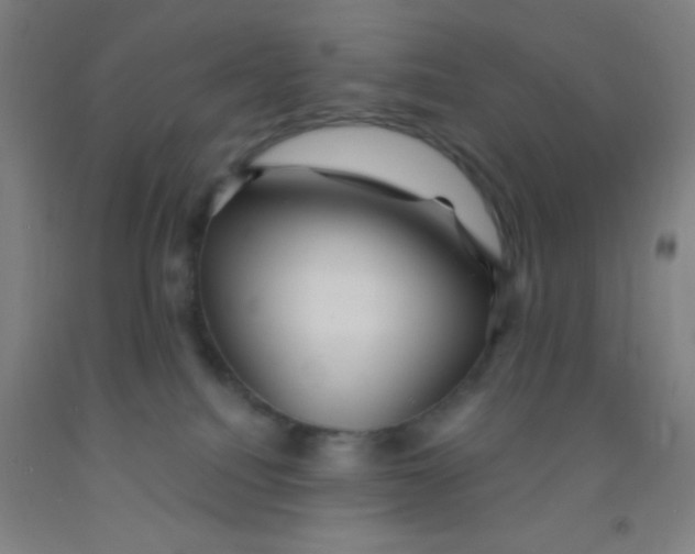 X0000092010088200709271538