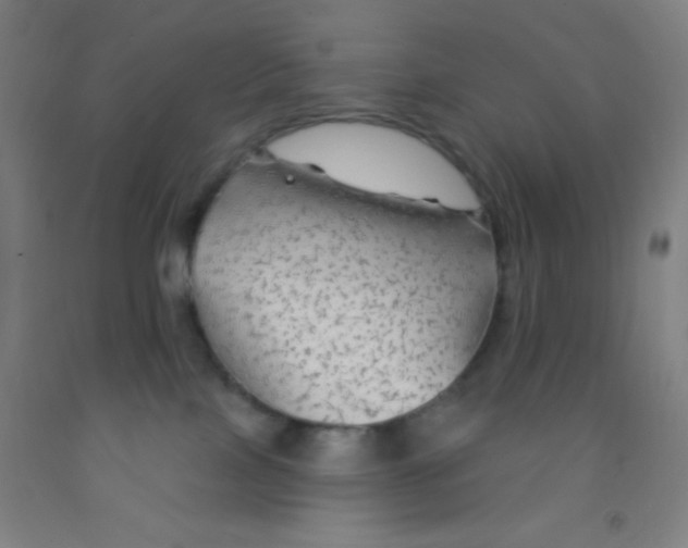 X0000092010089200709271538