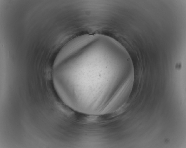 X0000092010090200709271538