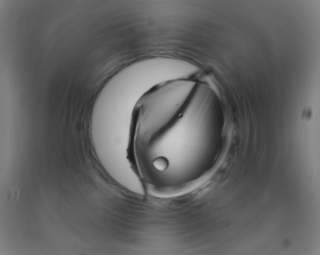 X0000092010092200709271538