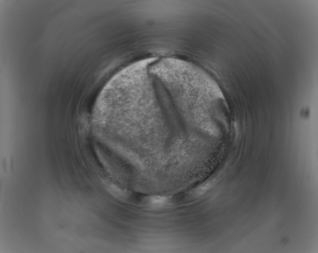 X0000092010093200709271538