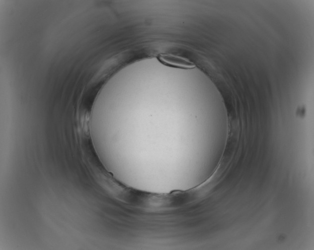 X0000092010094200709271538