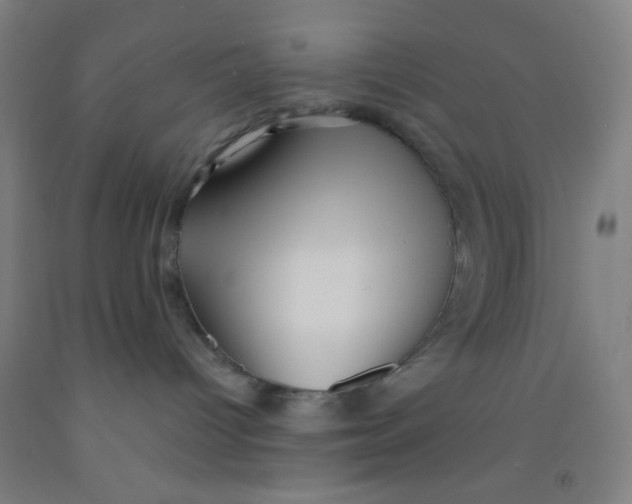 X0000092010096200709271538