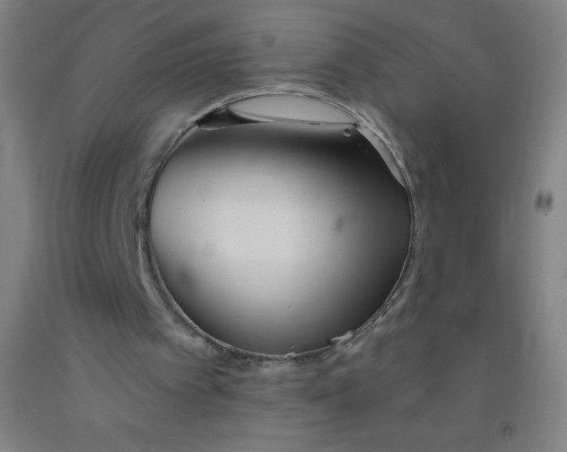 X0000092010097200709271537