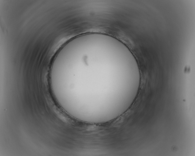 X0000092010098200709271537