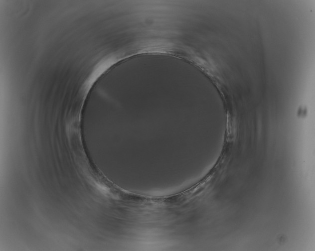 X0000092010099200709271537