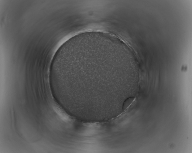 X0000092010100200709271537