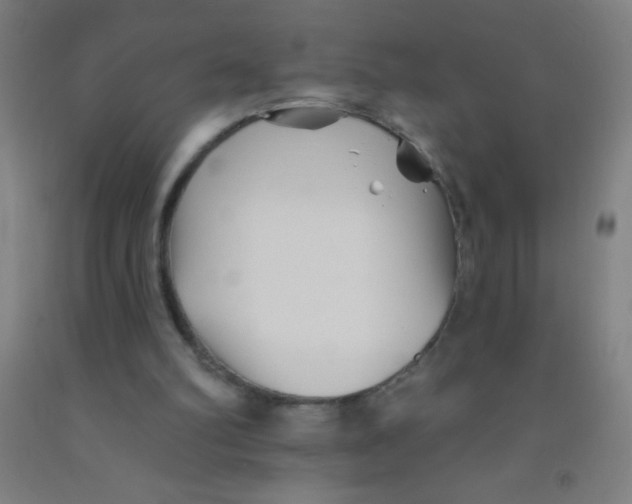 X0000092010102200709271537