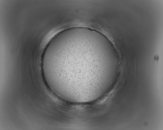 X0000092010103200709271537